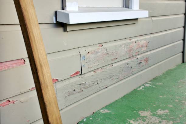 Best Steel Siding Installation  in Brisbane, CA