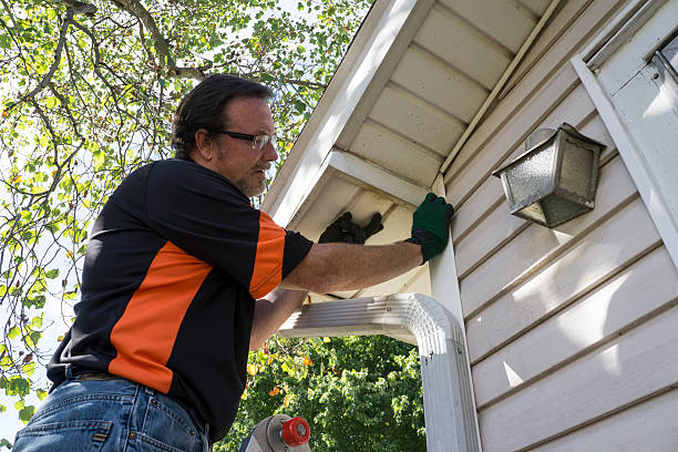 Best Custom Siding Design  in Brisbane, CA